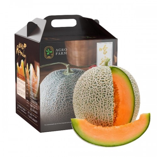 Flash sales Rock melon (Japan)  哈密瓜 *with Box 