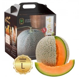 Flash sales Rock melon (Japan)  哈密瓜 *with Box 