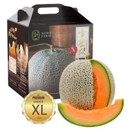 Flash sales Rock melon (Japan)  哈密瓜 *with Box 